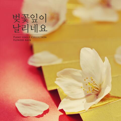 The leaves of cherry blossoms fly.