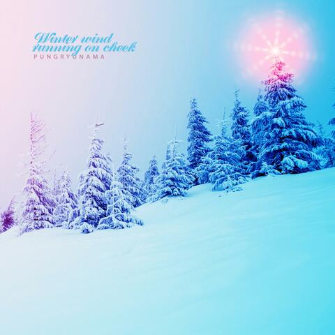 Winter Wind Blowing Ball