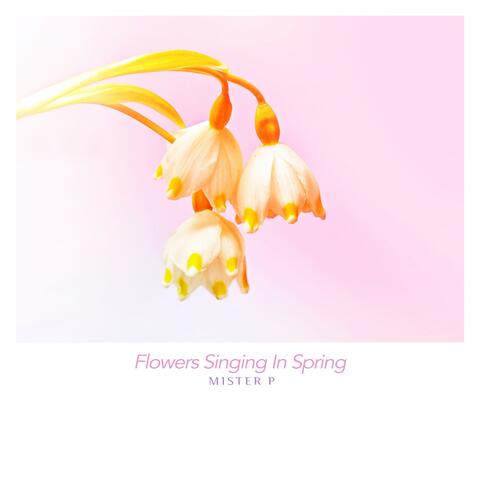 Flowers Singing In Spring