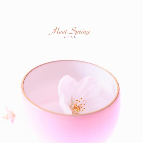 Meet Spring