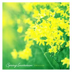 Spring Invitation