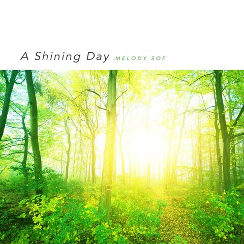 A Shining Day