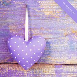 Flowers And Sunshine