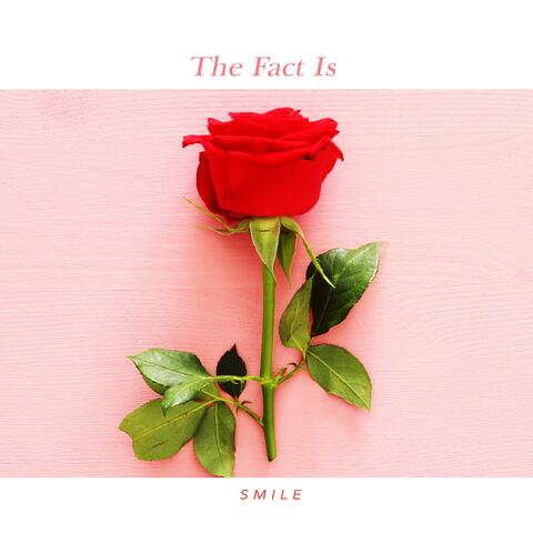 The Fact Is.