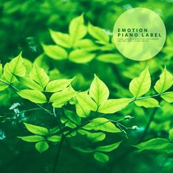 I'll Hold You Warmly