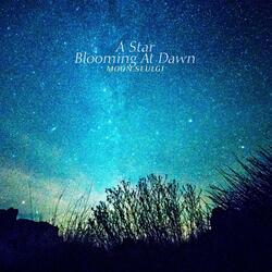 A Star Blooming At Dawn