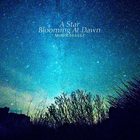 A Star Blooming At Dawn