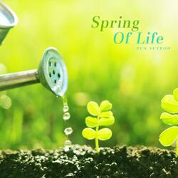 Happiness Of Spring