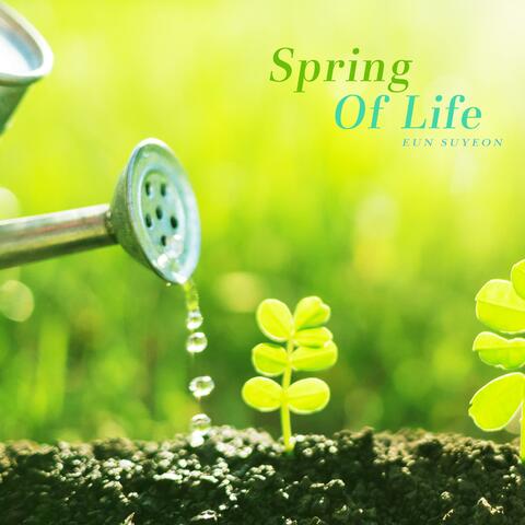 Spring Of Life