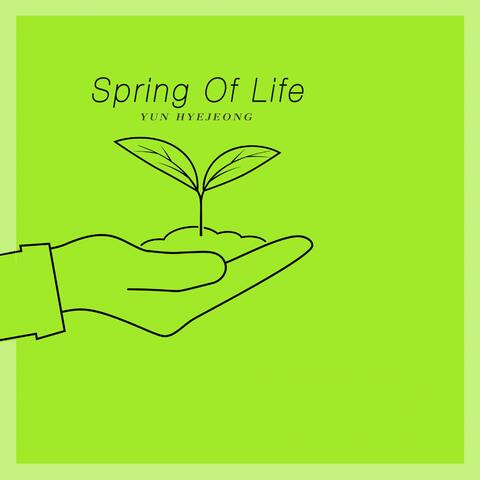Spring Of Life