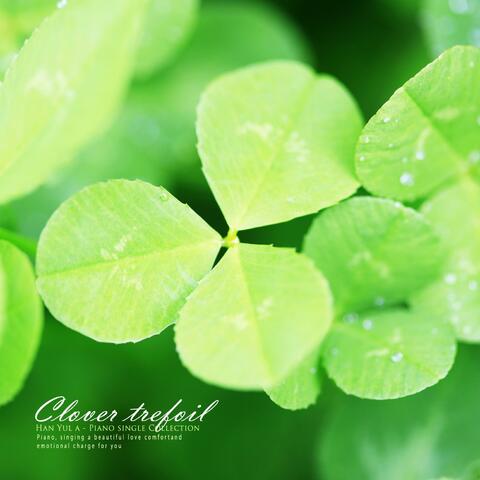 Three-leaf clover