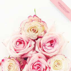 Melody of spring night