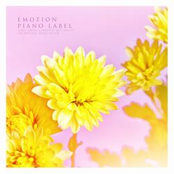 Love Of Winter Night