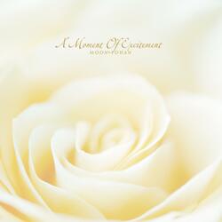 A Moment Of Excitement