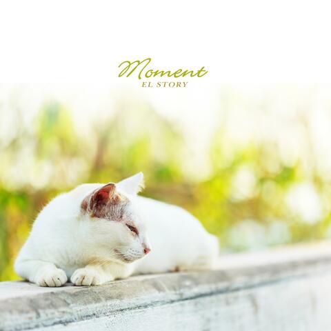 Moment