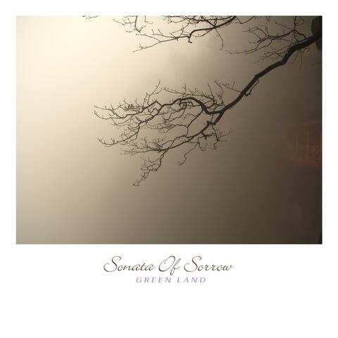 Sonata Of Sorrow