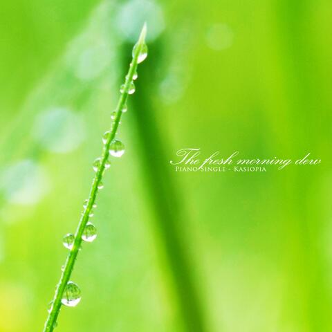 A Fresh Morning Dew