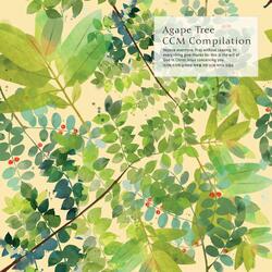 The love of the Lord