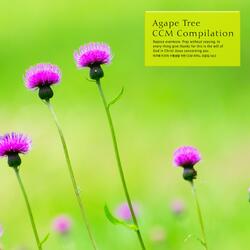 I will trust you to the end.