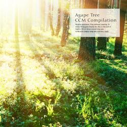 Waiting for the Lord