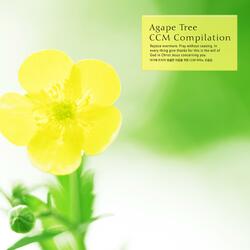 The love of the Lord