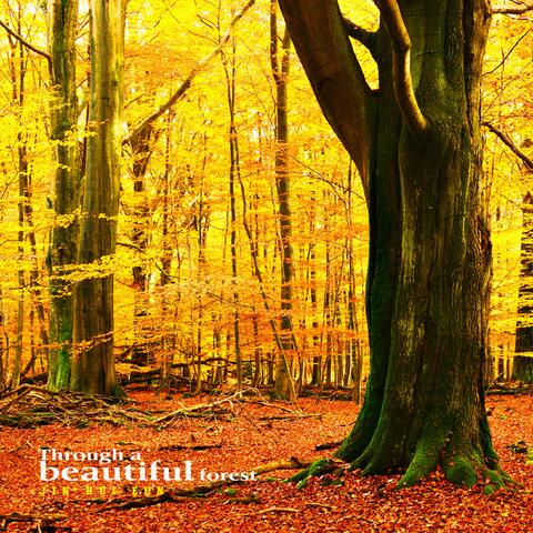 Between beautiful forests