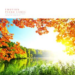 Flowers And Sunshine