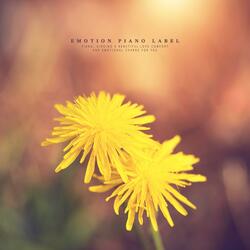 In front of your eyes