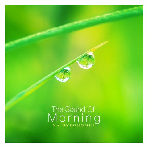 The Sound Of Morning