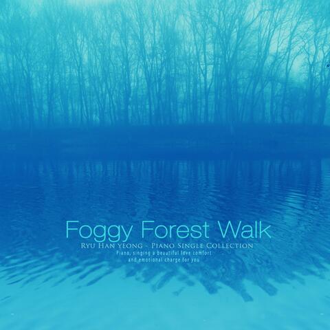 Fog forest walk