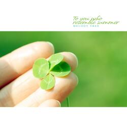 To You Who Resemble Summer