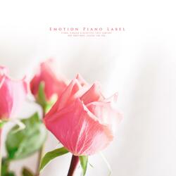 You are beautiful like a star