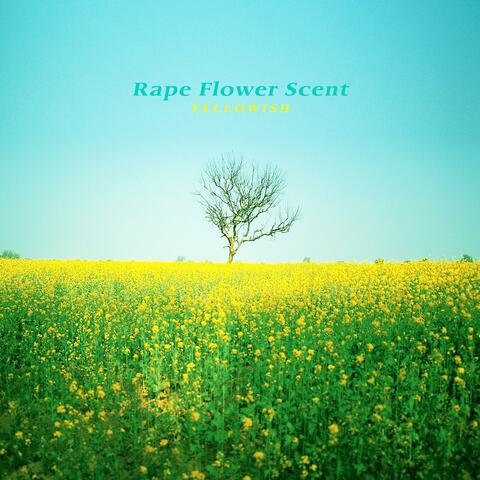Rape Flower Scent