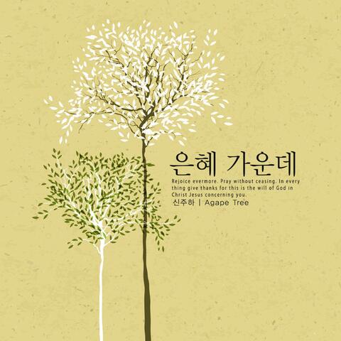 In the middle of grace