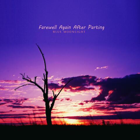 Farewell Again After Parting