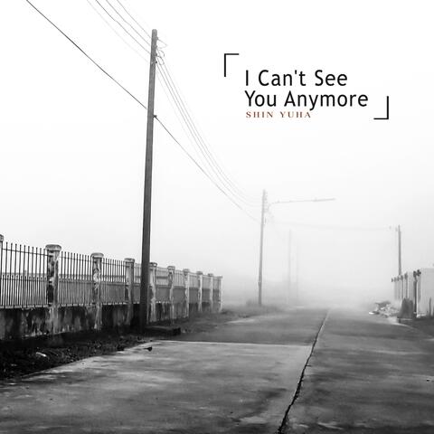I Can't See You Anymore