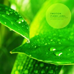 Deep night with longing