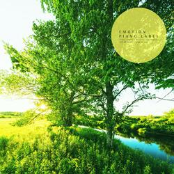 Morning In The Forest