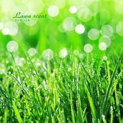 The warmth of sunshine