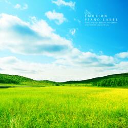 Scenery With Sunlight