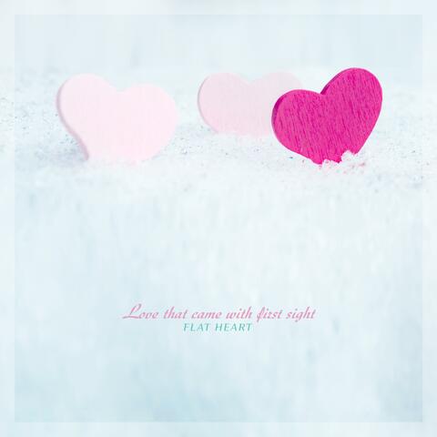 Love That Came With First Sight