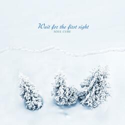 Wait For The First Sight