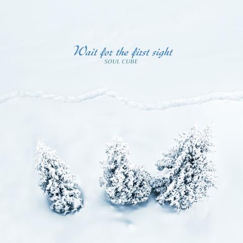 Wait For The First Sight