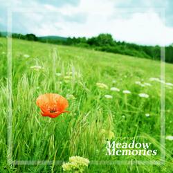 Meadow Memories
