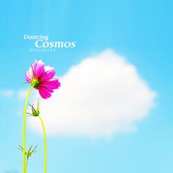 Make White Clouds A Friend