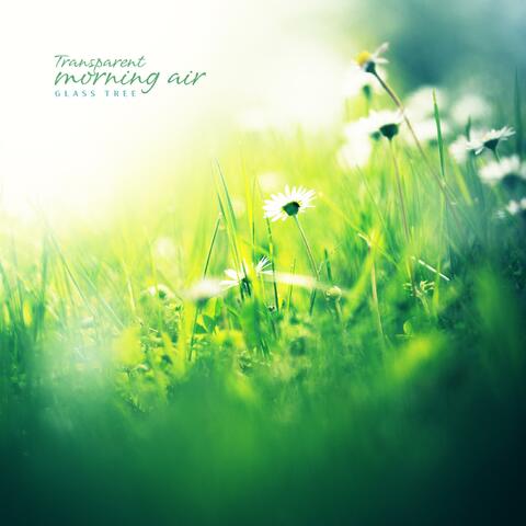 Transparent morning air