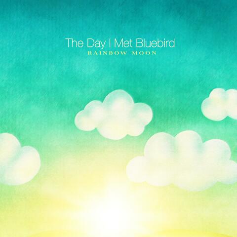 The Day I Met Bluebird
