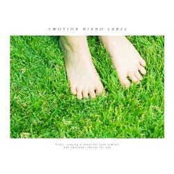 Sunshine Over The Sea