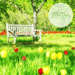 Starlight Of A Calm Night