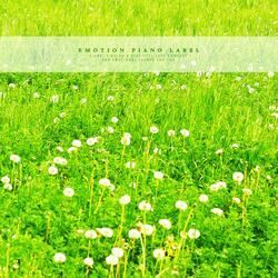 Count the stars and fall asleep